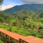 10 Tempat Wisata di Bogor yang Paling Hits