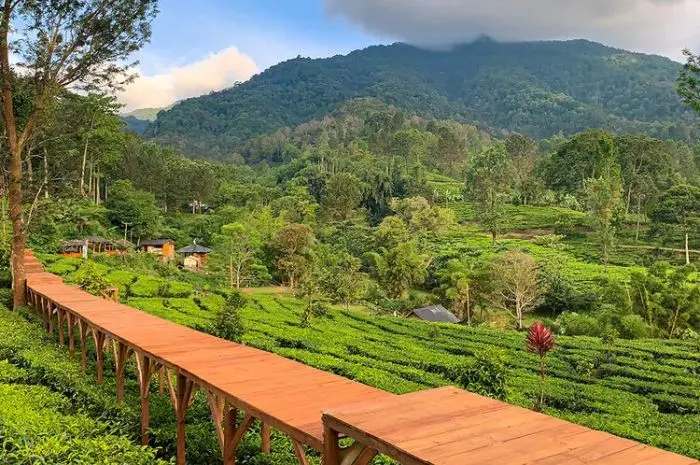 10 Tempat Wisata di Bogor yang Paling Hits